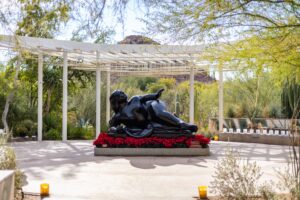 What Happens If I Get Injured at Desert Botanical Garden in Phoenix, AZ?