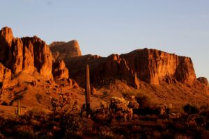 What Happens if I Get Injured at the Arizona-Sonora Desert Museum in Tucson, AZ?