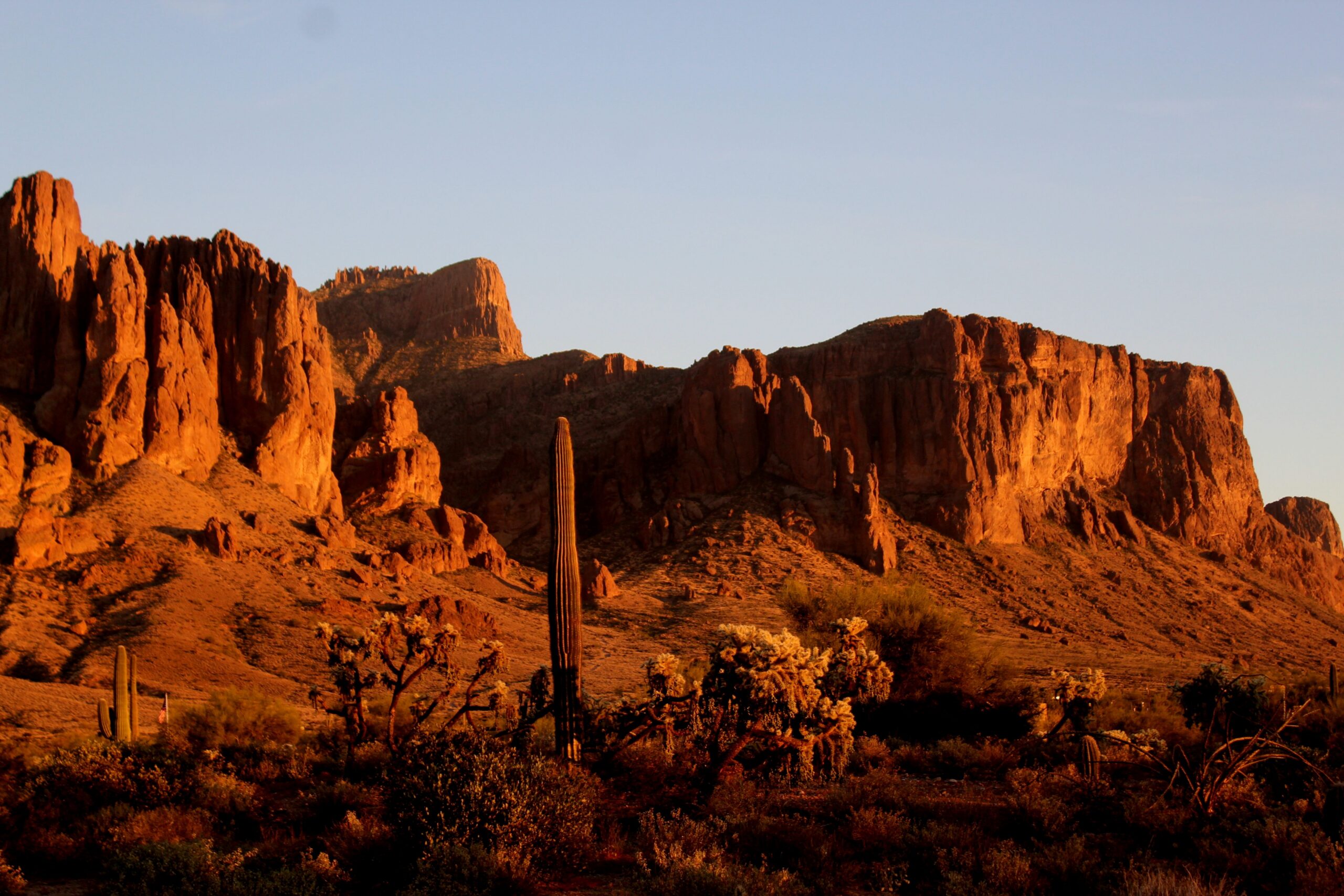 What Happens if I Get Injured at the Arizona-Sonora Desert Museum in Tucson, AZ?